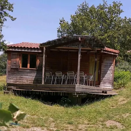 Blanc - Piscine Partagee